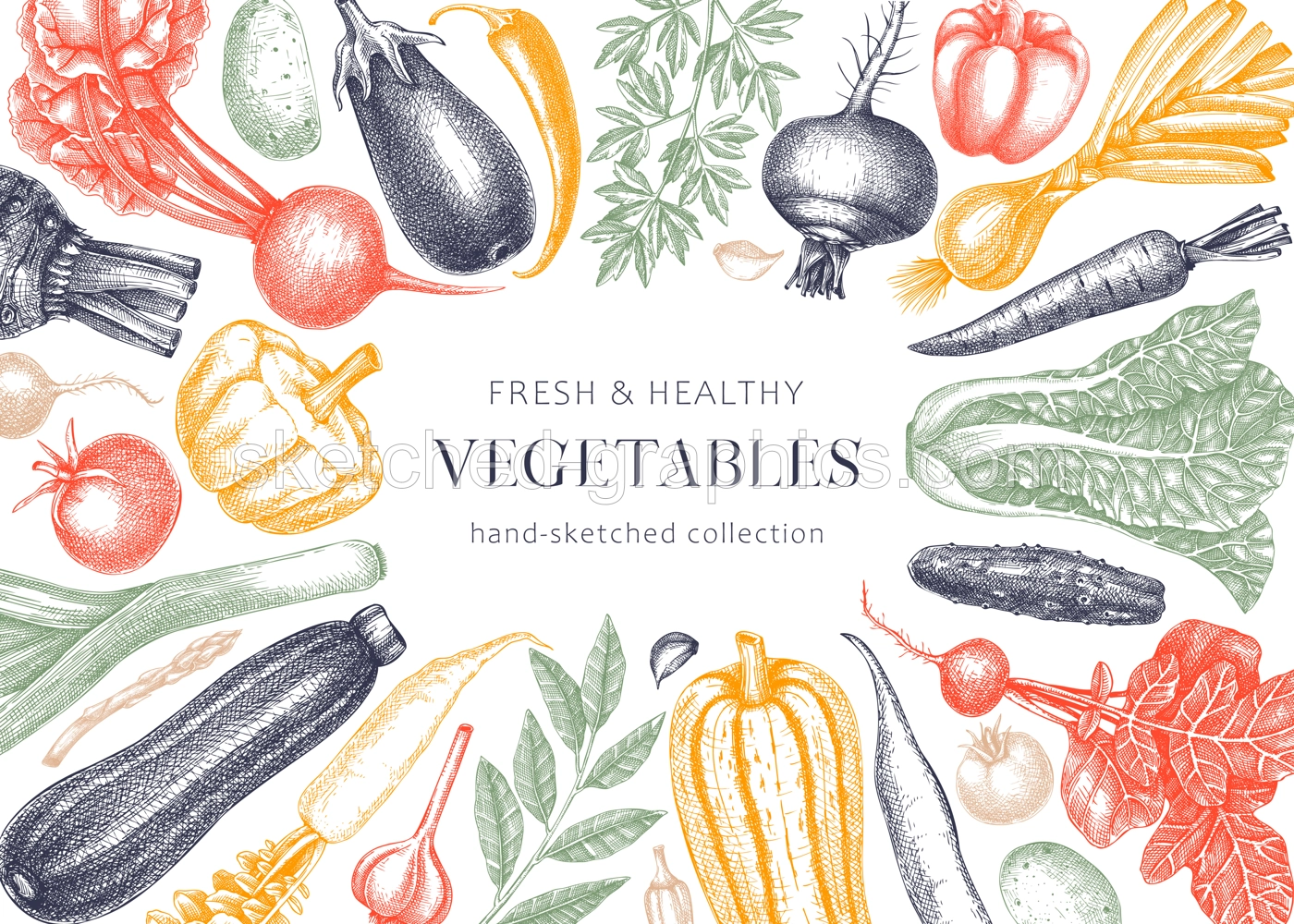 Vegetable Frame Banner Illustration